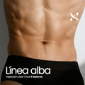 Linea-Alba